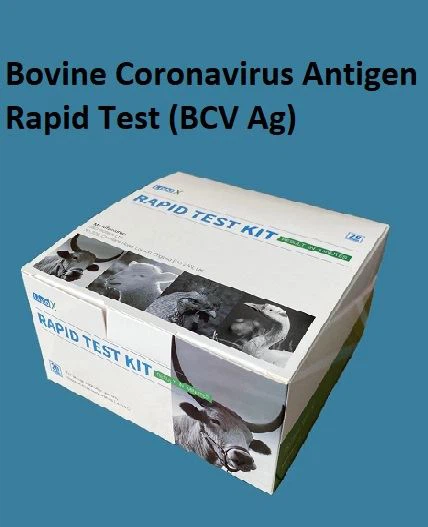 Tès rapid antijèn kowonaviris bovin (BCV Ag)