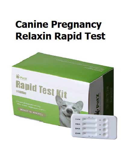 Canine Gwosès Relaxin Rapid Tès RLN